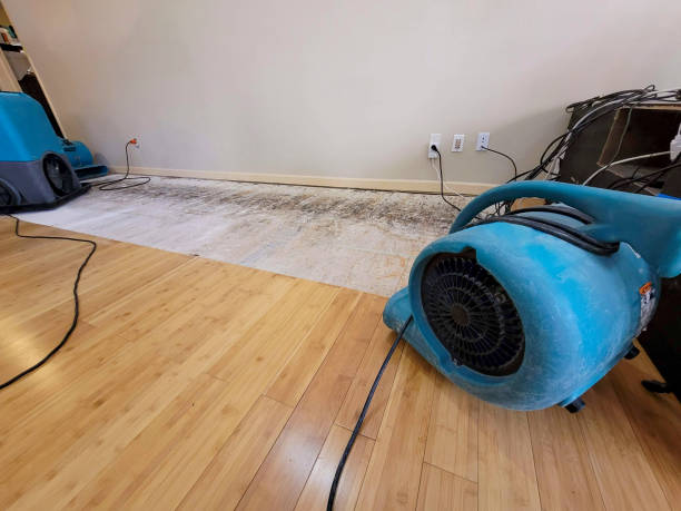 Professional Water Removal technician working in Stuart, FL